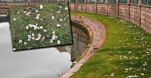 Eskişehir'deki bu çirkin görüntünün sorumluları bulunsun