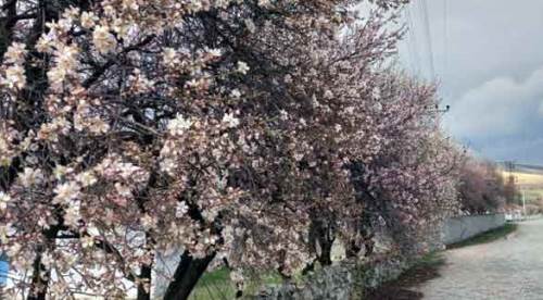 Eskişehir'deki bu güzel manzara onları çok üzüyor, çünkü...