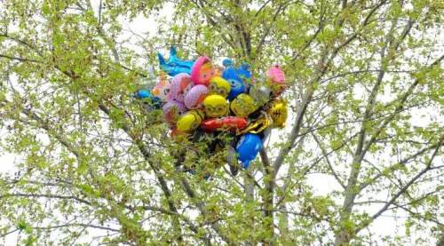 Eskişehir'deki bu ilginç manzara bakın ona neye mâl oldu!