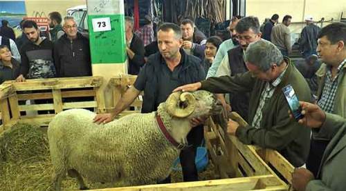 Eskişehir'deki bu koç görenleri şaşkına çevirdi