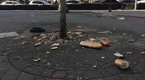 Eskişehir'deki bu manzara utandırdı! 