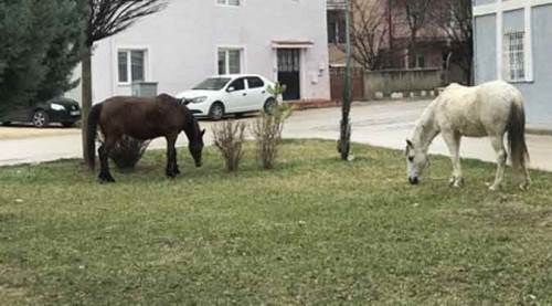 Eskişehir’deki bu sorun hâlâ çözüm bekliyor