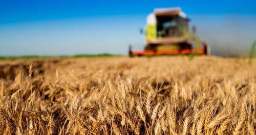 Eskişehir'deki çiftçilere müjde! 54 milyon destek verilecek...