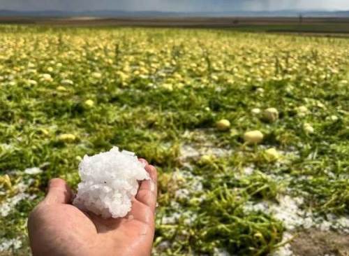 Eskişehir'deki dolu yağışı çiftçileri sevindirdi
