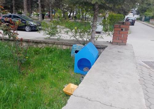 Eskişehir'deki duyarlılık beğeni topladı: Sokak hayvanları unutulmuyor