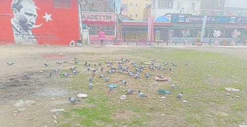 Eskişehir'deki esnaftan örnek hayvanseverlik