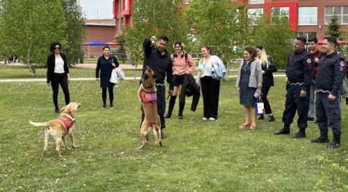 Eskişehir'deki fuarda yetenekleriyle ilgi çektiler