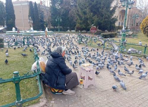 Eskişehir'deki güvercin besleme alanları ilgi çekiyor