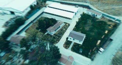 Eskişehir'deki hayvan barınağı sorunu buzdolabında!