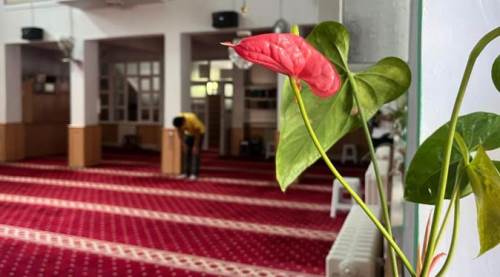 Eskişehir'deki huzur noktası: Gelin ruhunuz dinlensin