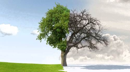 Eskişehir'deki kış yaza döndü: Peki yağışlar gelecek mi?