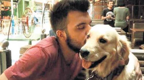 Eskişehir'deki köpek Marley davasında bilirkişi raporu