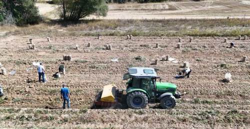 Eskişehir'deki kuraklığa rağmen 4 tonluk hasat yüzleri güldürdü