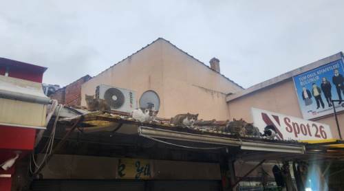 Eskişehir'deki manzara görenleri gülümsetti