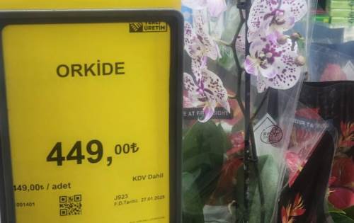 Eskişehir'deki markette dikkat çeken orkide fiyatı