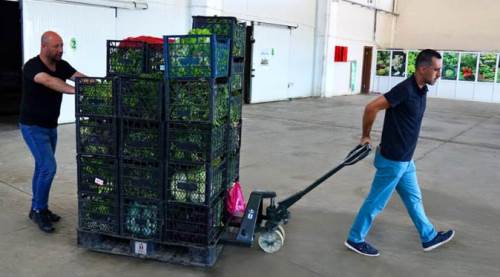 Eskişehir'deki o depo üreticileri rahatlattı