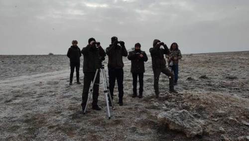 Eskişehir'deki o kuşların sayımı yapıldı