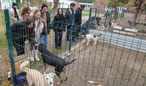 Eskişehir'deki öğrenciler sokak hayvanlarını unutmadı!
