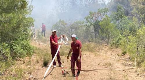  Eskişehir’deki orman yangını kontrol altına alındı
