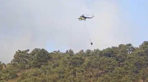 Eskişehir'deki orman yangınına havadan ve karadan müdahale