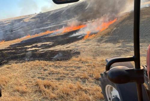 Eskişehir'deki otluk alanda çıkan yangında mahalleli seferber oldu