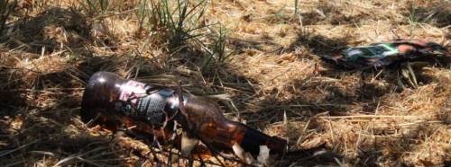 Eskişehir’deki Piknik Alanlarında Tehlikeli İhmal