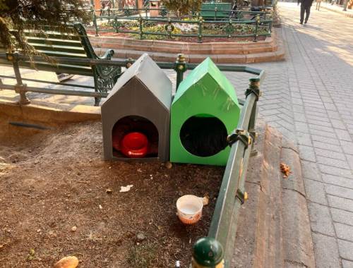 Eskişehir'deki plastik yuvalar sokak hayvanlarına sığınak oldu