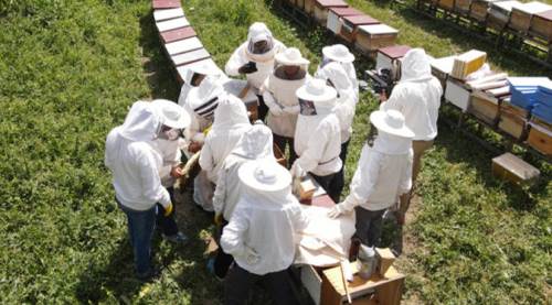 Eskişehir’deki proje Türkiye’ye örnek olmuştu…