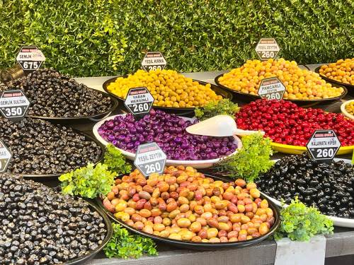 Eskişehir'deki rengarenk zeytinler ilgi görüyor!