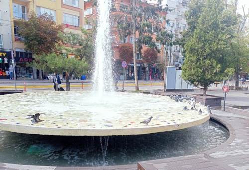 Eskişehir'deki süs havuzunda eğlenen güvercinler ilgi çekti