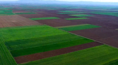  Eskişehir'deki termik santral davasını TEMA kazandı