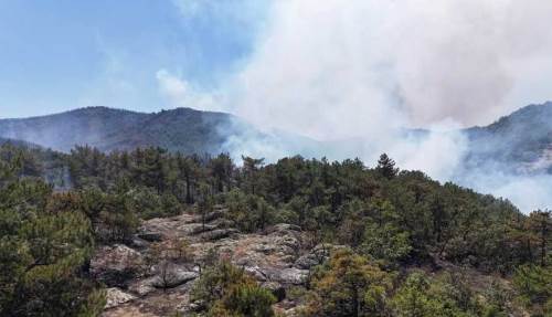 Eskişehir'deki yangında korkulan oldu: Alevler yeniden yükseldi