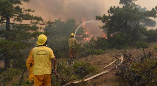 Eskişehir'deki yangınların yarısı...