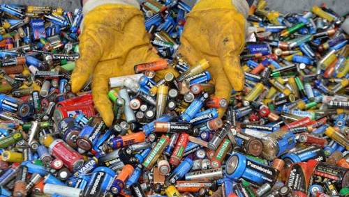 Eskişehir'deki yarışmanın sonucu belli oldu: 1.840 kg toplandı