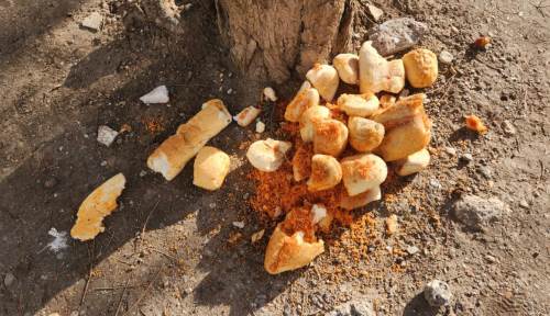 Eskişehir'deki yemek artıkları çirkin görüntü yarattı