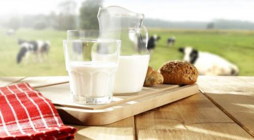 Eskişehir'deki yeni proje o ürünleri markalaştıracak!