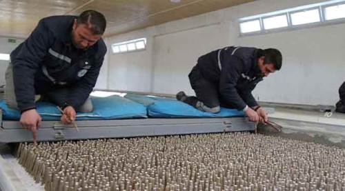 Eskişehir'den, deniz kıyısına!