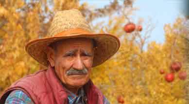 Eskişehir'den "kendi adasına" göç etti!