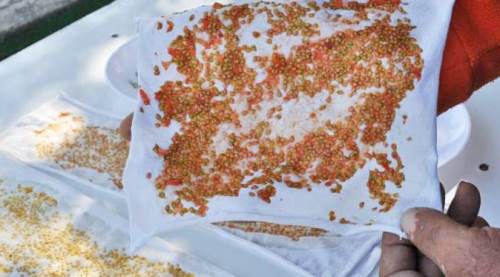 Eskişehir'den Anadolu'nun her yerine ulaşacak: Üstelik ücretsiz...