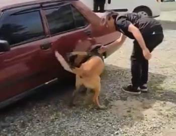 Eskişehir’Den Araç Çalan Şüpheliler Söğüt’Te Yakalandı
