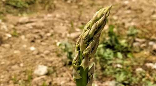 Eskişehir'den dünyanın dört bir yanına...