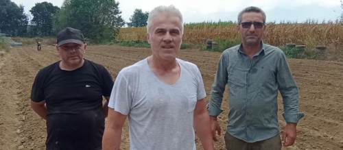 Eskişehir'den Düzce'ye safran yatırımı