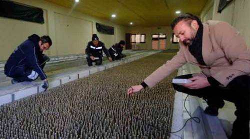 Eskişehir'den filizleniyor, tüm Türkiye'ye...