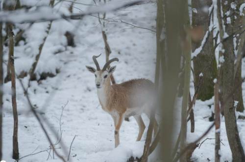 Eskişehir'den günübirlik ziyaretçi akınına uğruyor!