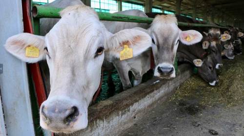 Eskişehir'den Hatay'a destek için yola çıkacaklar 