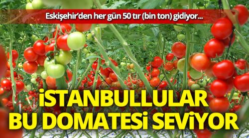 Eskişehir'den her gün 50 tır domates gidiyor
