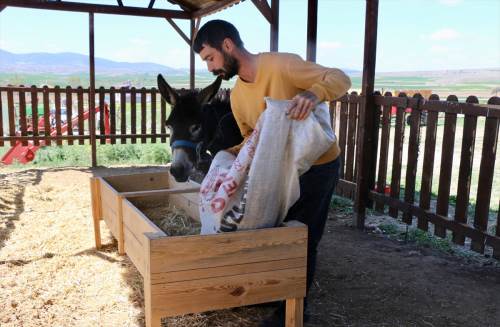 Eskişehir'den köye yerleşmek isteyenlere örnek hikaye!