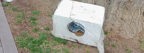 Eskişehir'den sokak hayvanları için örnek davranış