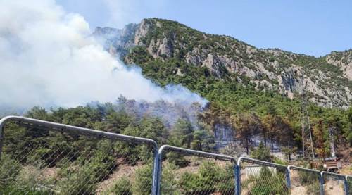 Eskişehir'den sonra şimdi de Bilecik'te orman yangını!