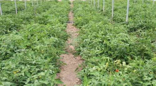 Eskişehir'den tam 12 şehre...